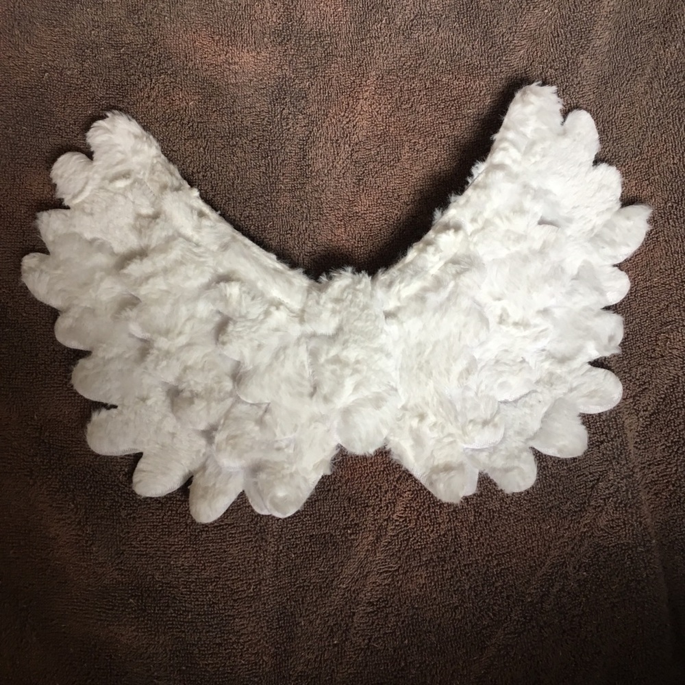 Fluffy Puppy Angel Wings